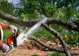 Best Leaf Removal  in Union Mill, VA