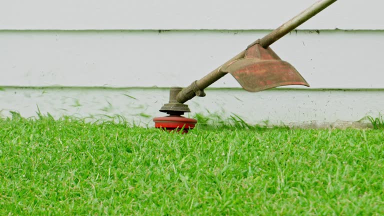 Best Commercial Tree Services  in Union Mill, VA